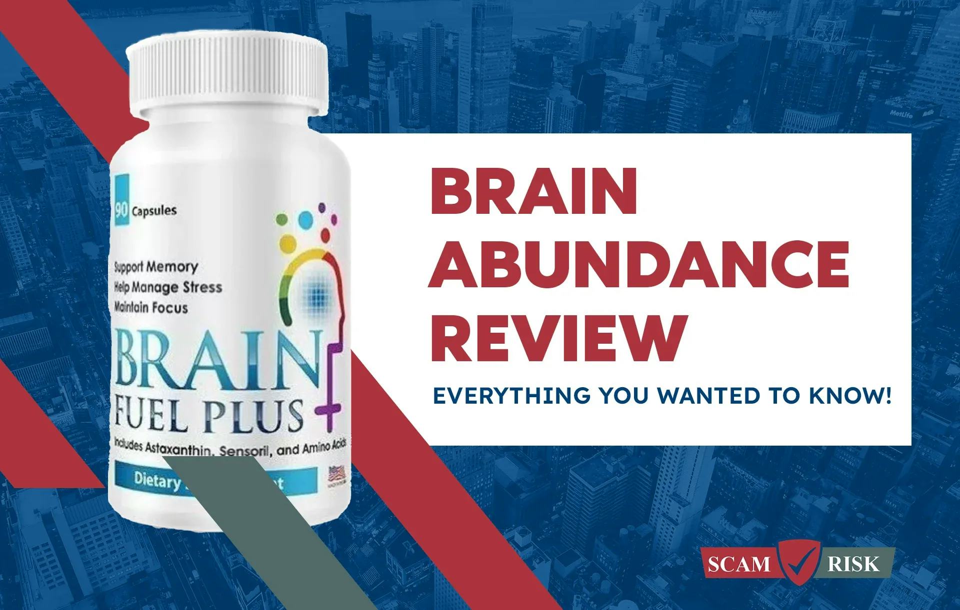 Brain Abundance Review ([year] Update): Everything You Wanted To Know!