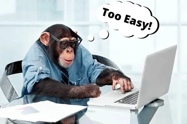 Chimp At Computer