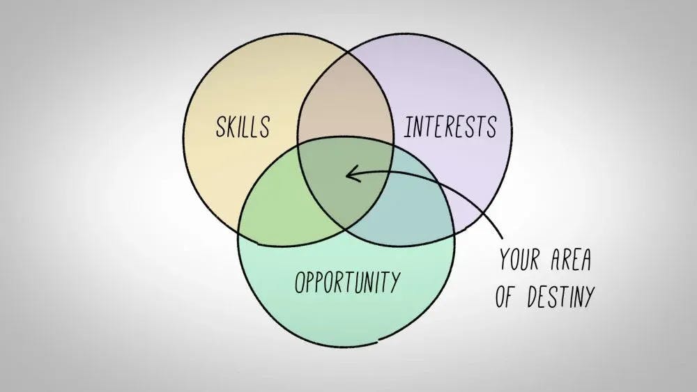 Find Your Skills and Passion