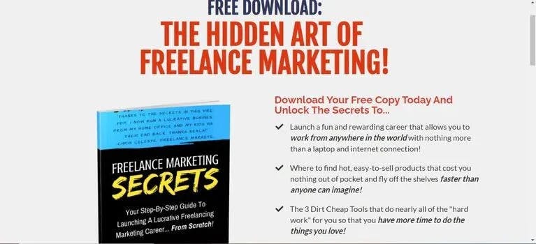 Freelance Secrets Download