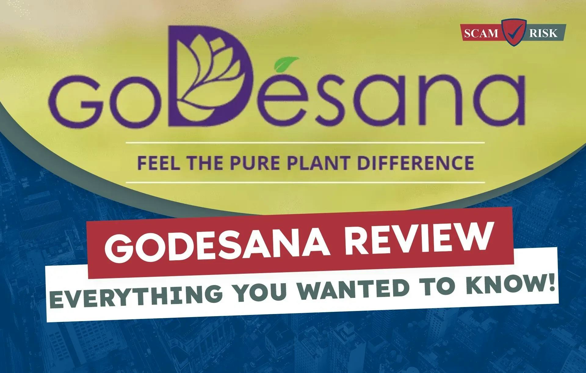 GoDesana Reviews (2023): Everything You Wanted To Know!
