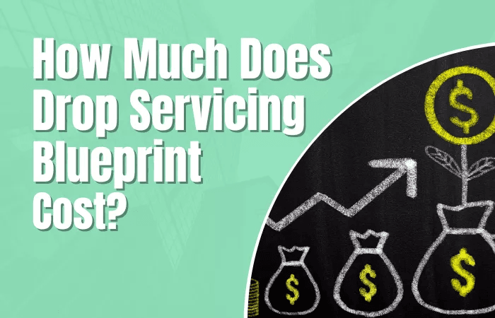 How Much Does Drop Servicing Blueprint Cost