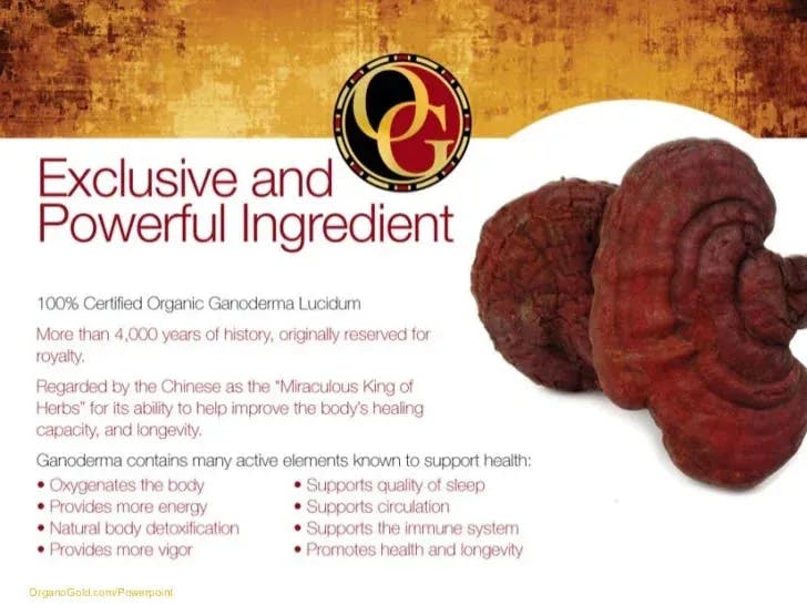 Organo Gold Personal Care Products