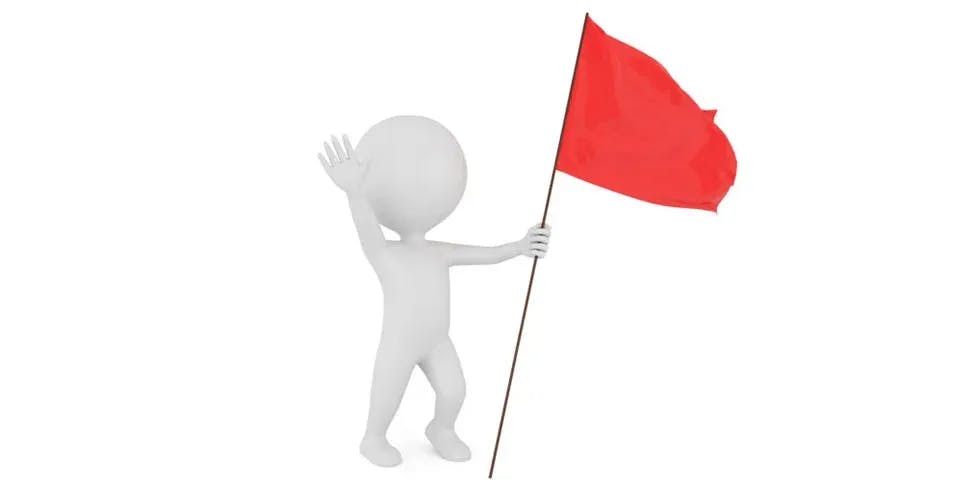 Red Flags Online Business