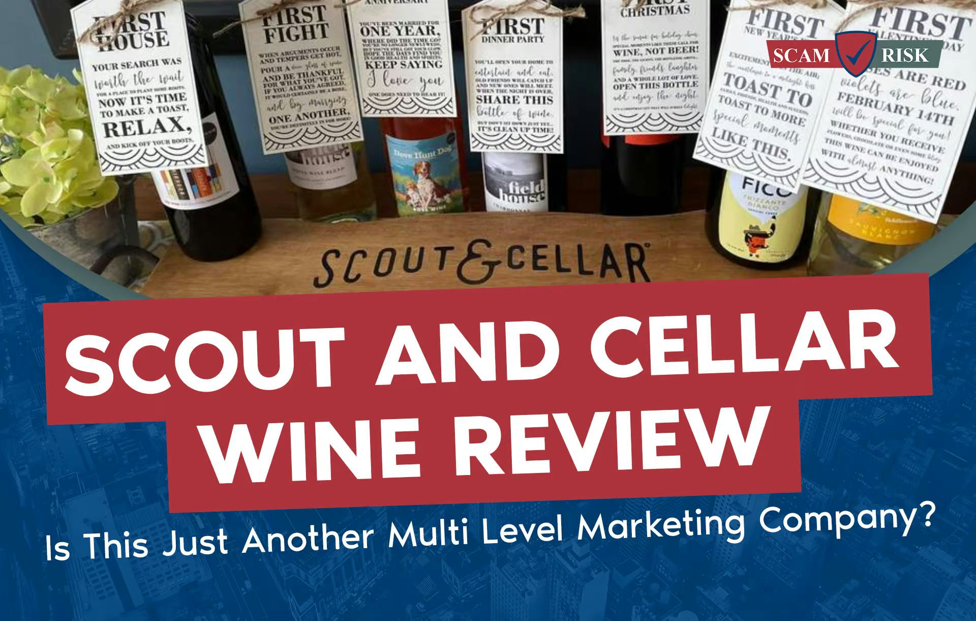 Scout and Cellar Wine Reviews