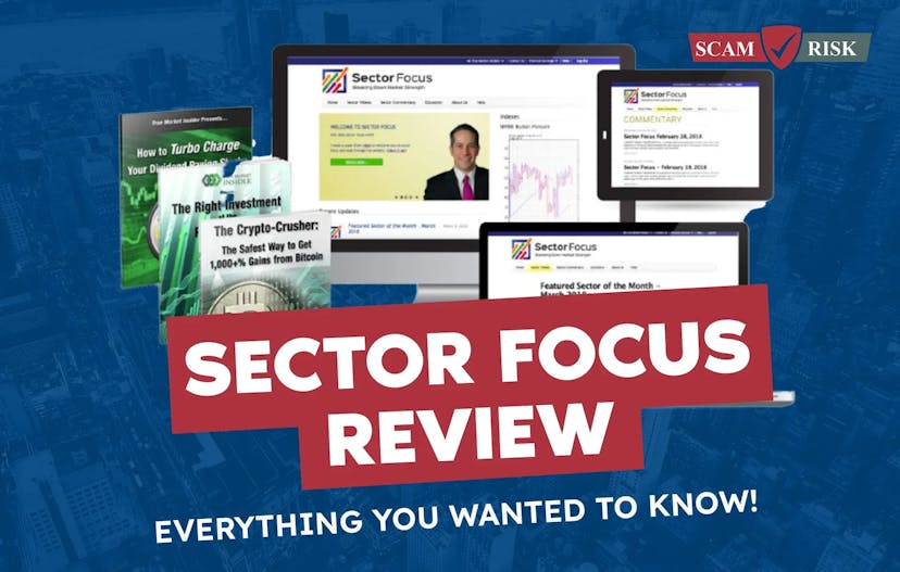 Sector Focus Review ([year] Update): Everything You Wanted To Know!