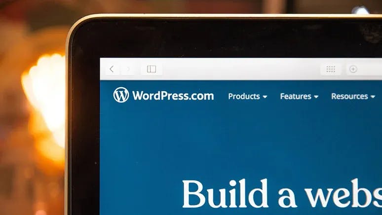 Succeed As a WordPress Web Designer
