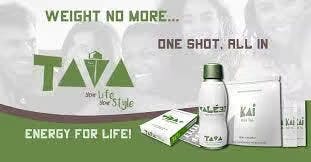 Tava Lifestyle Review Health and Wellness Niche