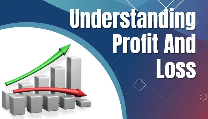 Top 5 Reasons Dropshippers Fail Understanding Profit and Loss