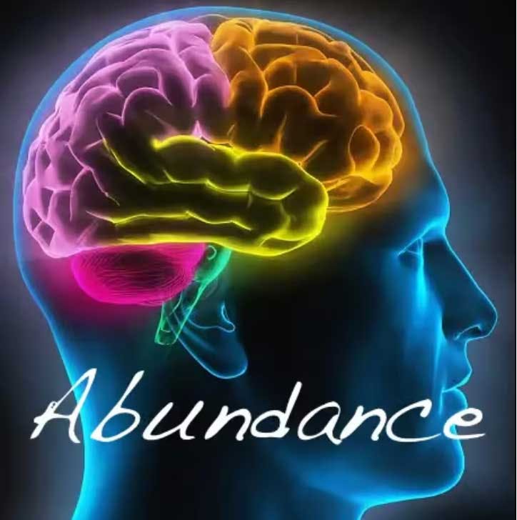 What Is Brain Abundance