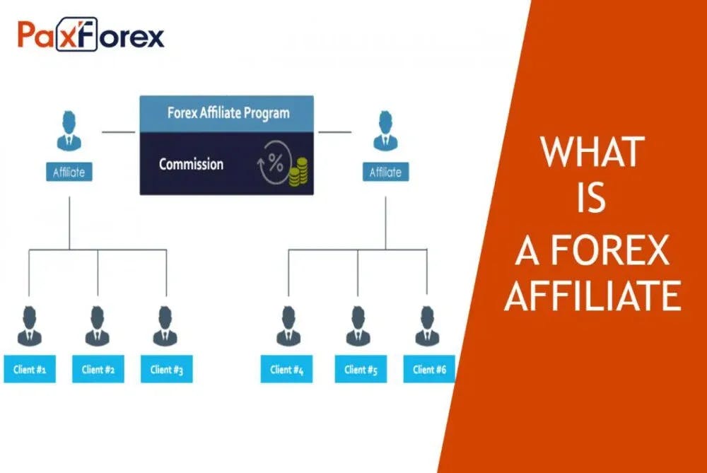 What Is Forex Affiliate