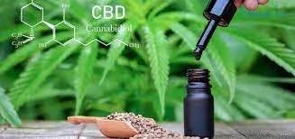 What are CBD Products BioReigns Products