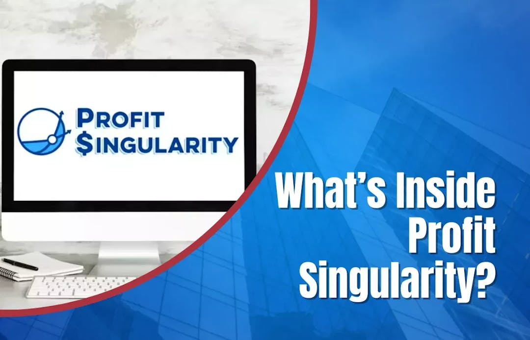 Whats Inside Profit Singularity