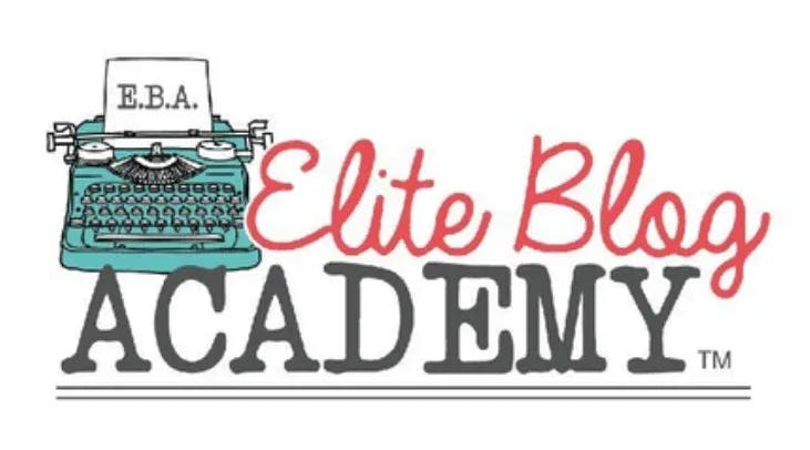 review elite blog academy
