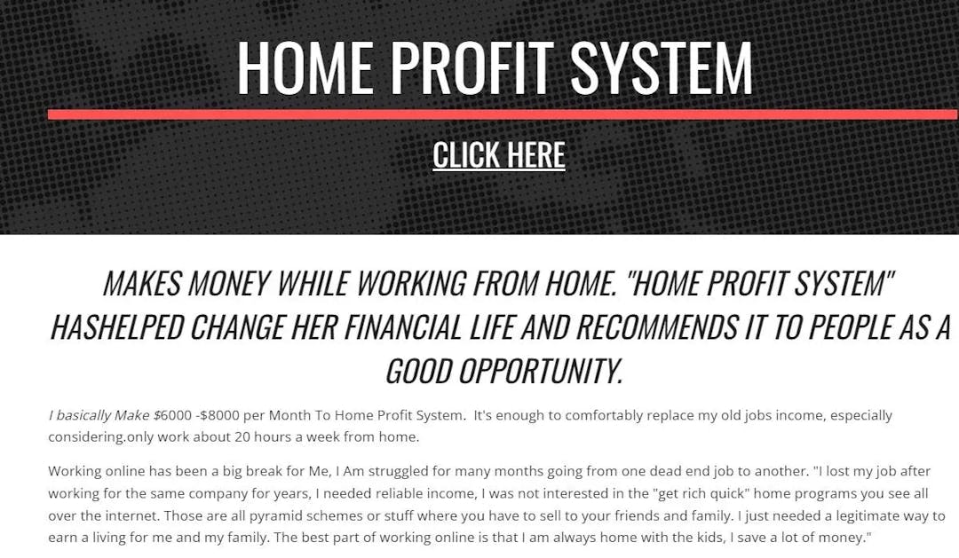 what is home profit system